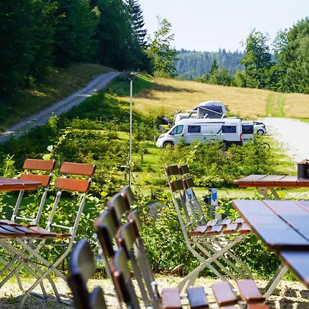 Wald, Ruhe, Wow ! Deine Auszeit Im Bayerischen Wald, Naehe Passau * Waldkirchen