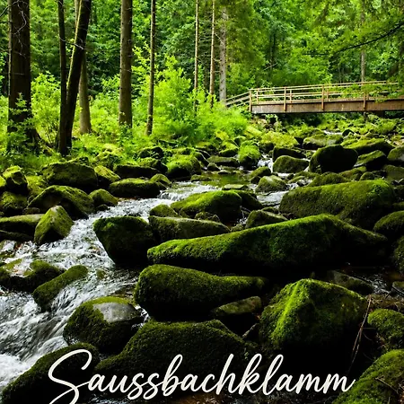 Dein Platz Am See-kamin, Wald & Garten * Waldkirchen